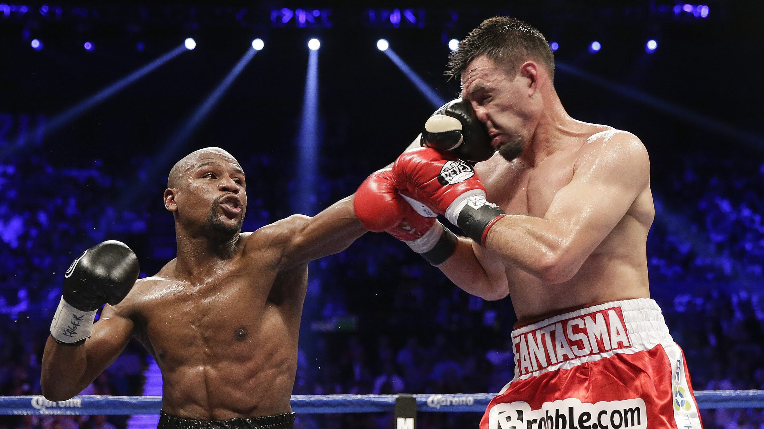 重返赛场首场状态出色,篮网观众沸腾!Scout重返赛场气势如虹延续